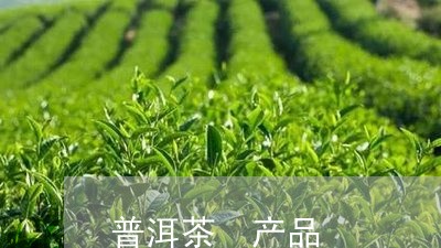 普洱茶 产品/2023042838692